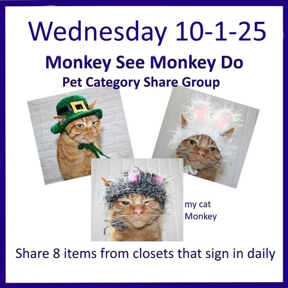 Wednesday 10-1-2025 Dog Cat Small Animal Pet Share Discussion Group - Picture 1 of 7